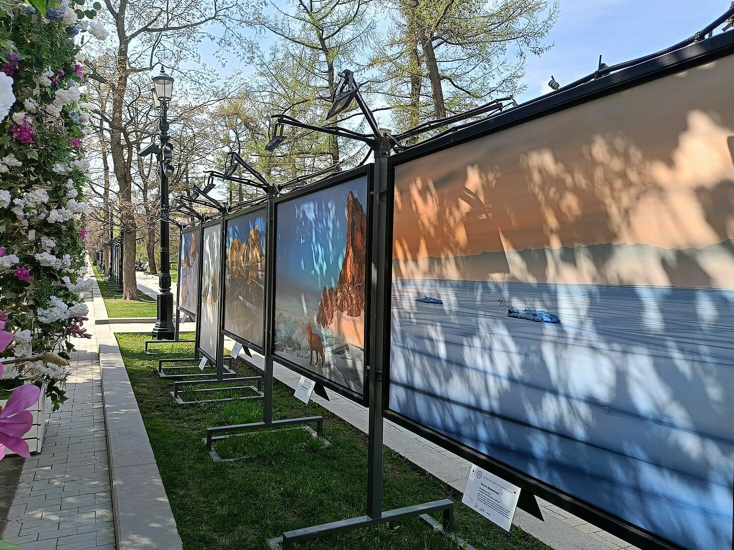 Olga Sharikova. Exhibitions. "Let’s Save Baikal Together". Moscow, 2025.