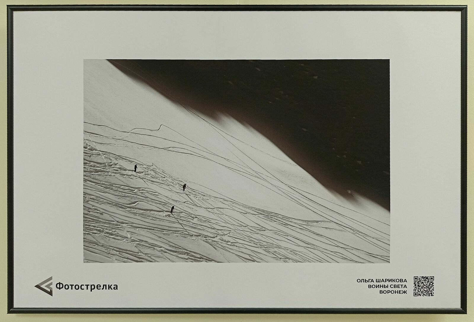 Olga Sharikova. Exhibitions. Moscow, 2024