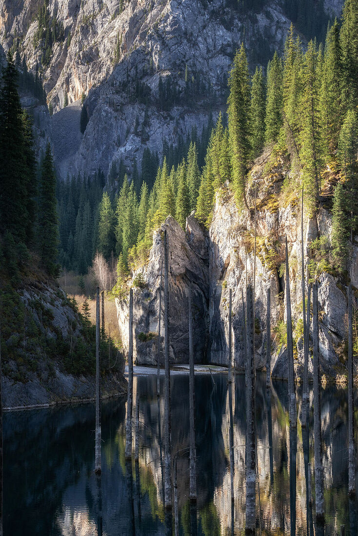 Olga Sharikova. Dense and not so dense forests. Stockade. Lake Kaindy, Kazakhstan. April 2025.